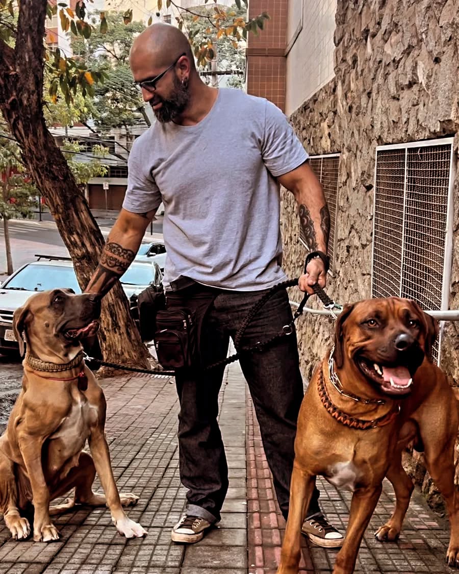 Estrutura CT Big Dog