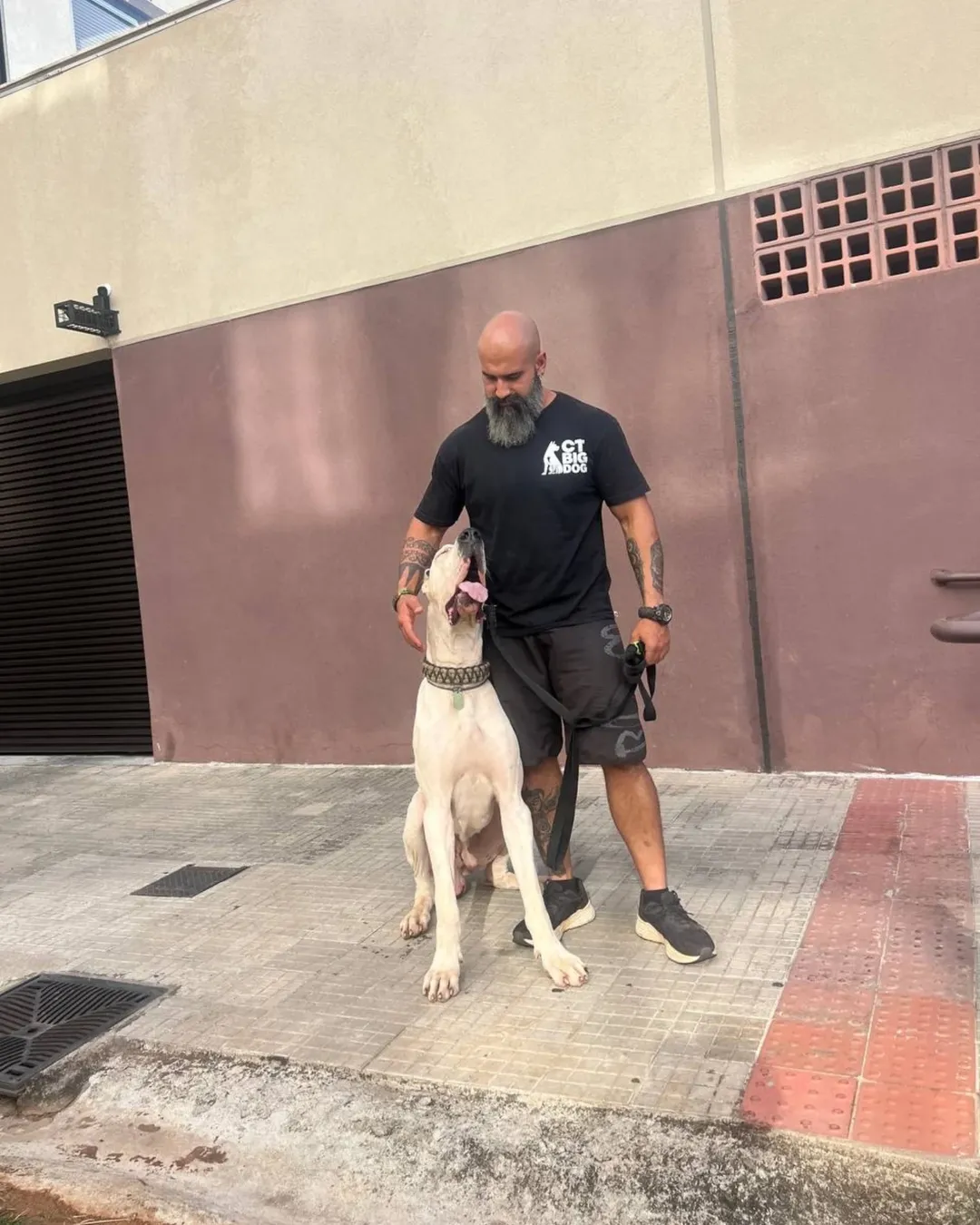 Estrutura CT Big Dog