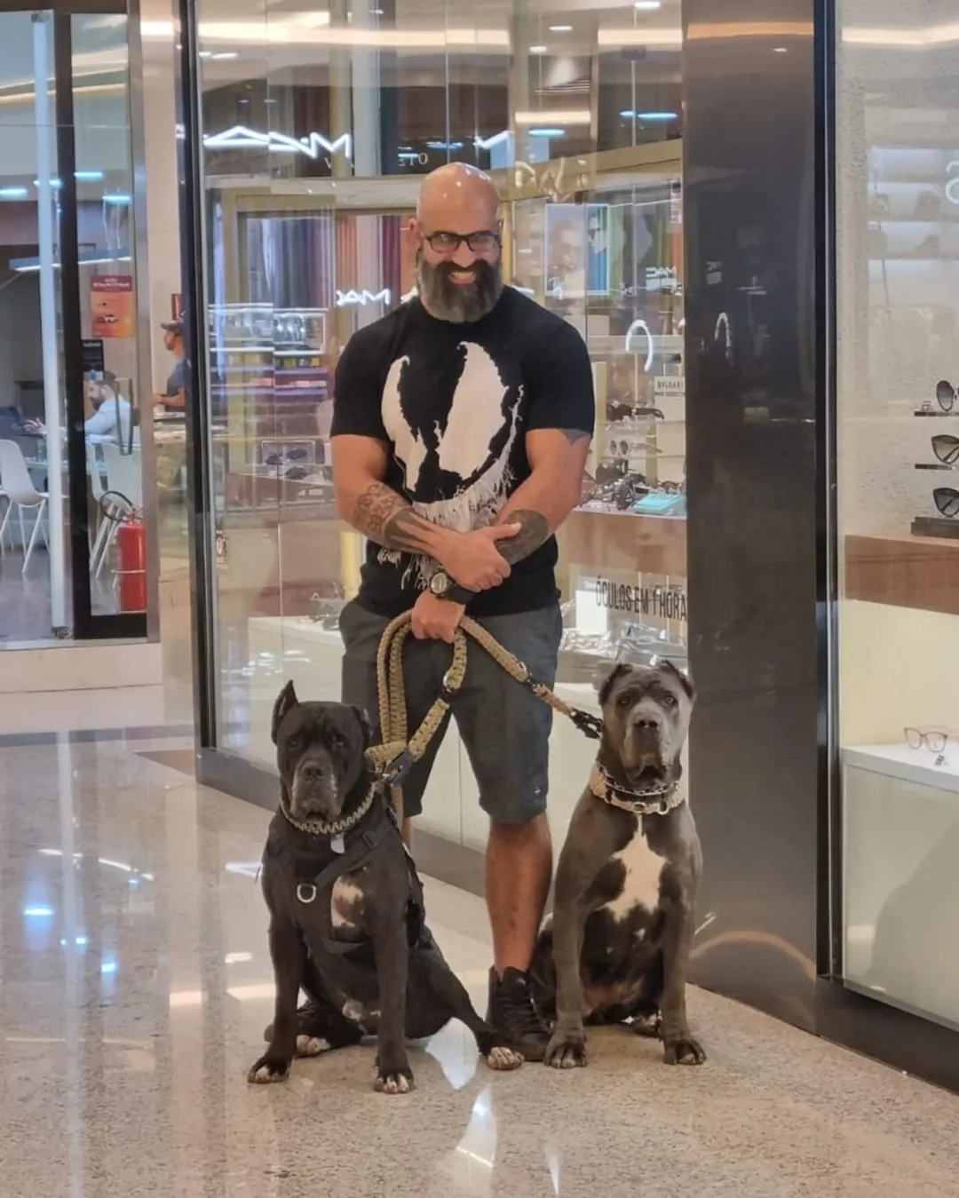 Estrutura CT Big Dog